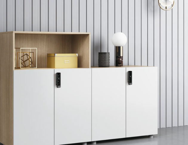 DL-A850-CT 密碼卡片鎖 3